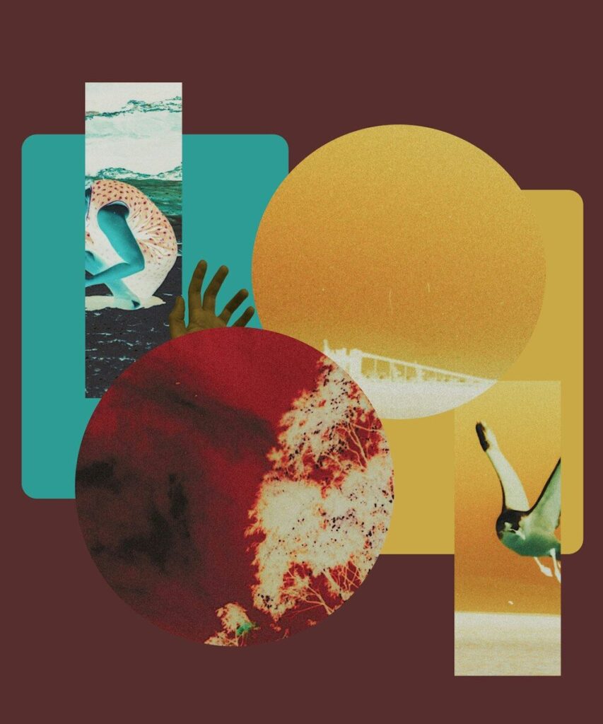 A collage of a person, a hand, a tree, and a bird on colored shapes